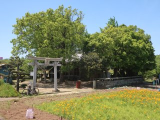 岡原天神社