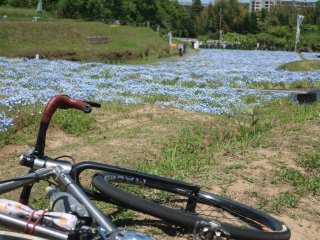 おかばる花公園
