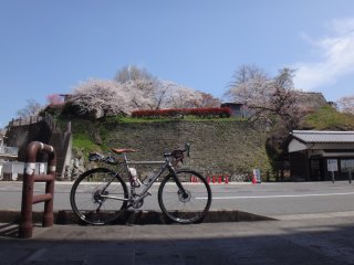 臼杵城