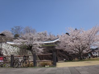 臼杵城