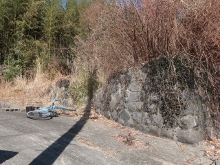 加茂白鳥大神跡