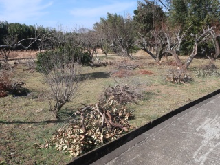 山神社跡(宮ノ原)