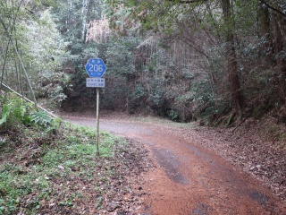 県道206号線旧道