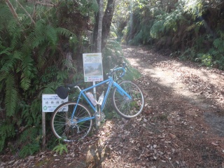 荒平山の祠(到着ならず)