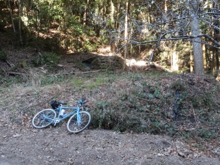 八幡社(志津留角石)